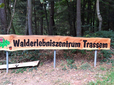 Forest Adventure Center Trassem