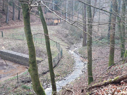 Kehrbach Trassem