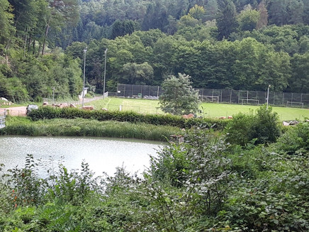 Angelweiher Trassem