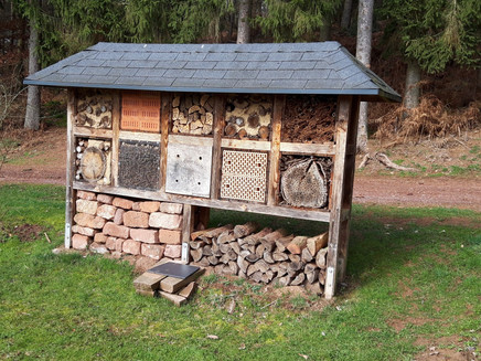 Bee hotel