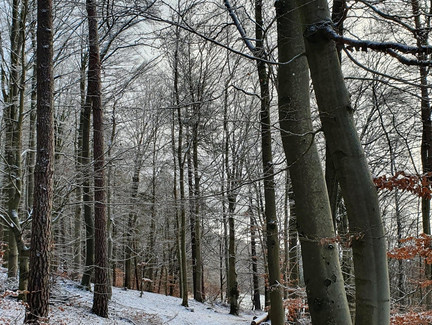 GeoPfad an der Fränkischen Linie