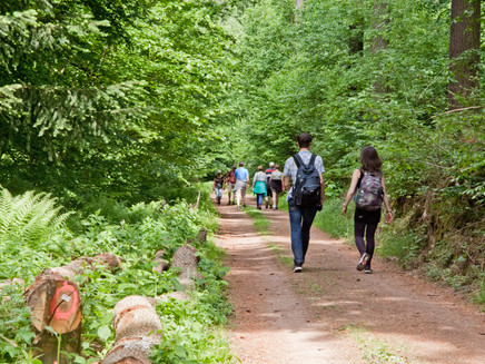 Pfingst-Wein-Wanderung