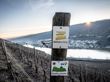 Moselsteig signage near Winningen