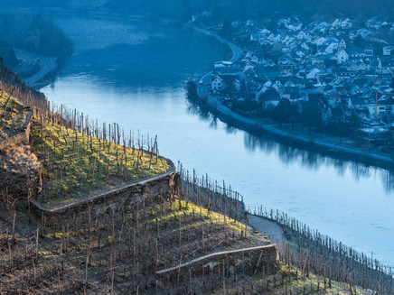 Mosel view near Winningen