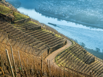 Moselle boat trip at Winningen