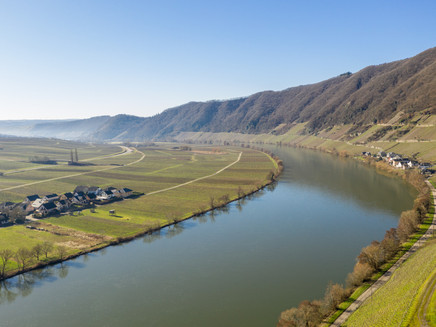 The Mosel near Piesport