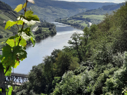 Mosel und Doppelstockbrücke Bullay