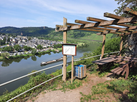 Aussicht auf Pünderich