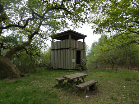 Aussichtsturm am Halemer See