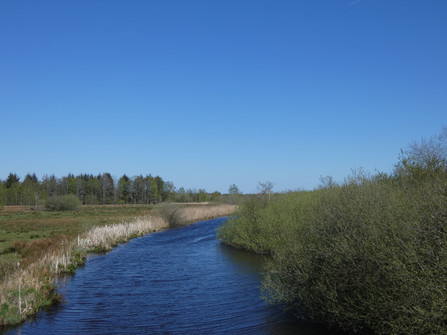 Flögelner Kanal am Ahlenmoor