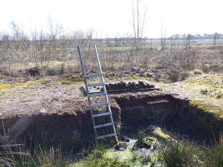 Am Moorpad