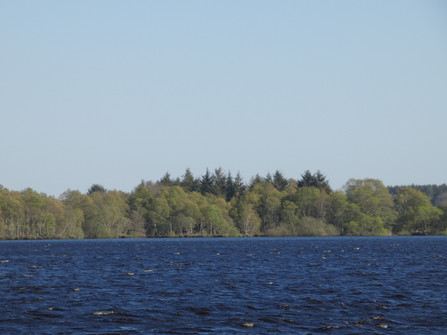 Halemer und Dahlemer See