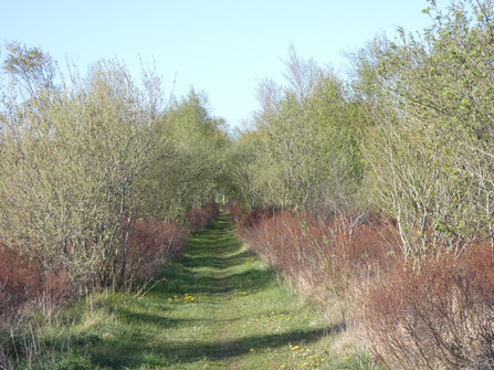 Unterwegs "Rund üm dat Ahlenmoor"
