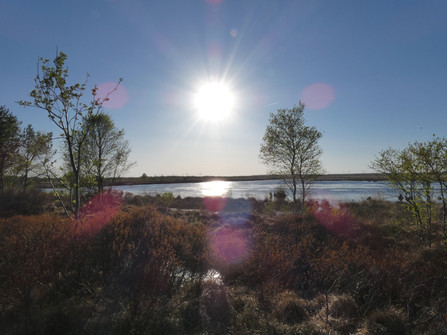 Blick auf das Naturschutzgebiet Halemer und Dahlemer See