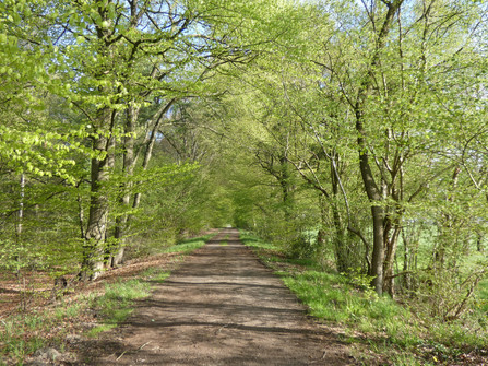 Wanderweg Op de olen Weeg