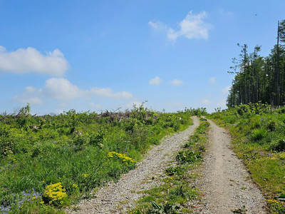 Connecting route between the cave village Rübeland & Harzdrenalin at the Rappbode Dam