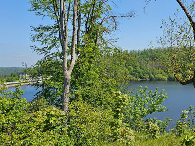 View of the dam wall of the Rappbode Dam