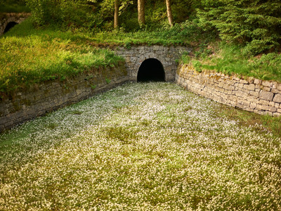 Hutthaler Widerwaage