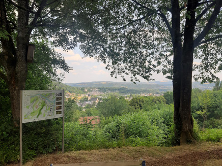Viewpoint (1)