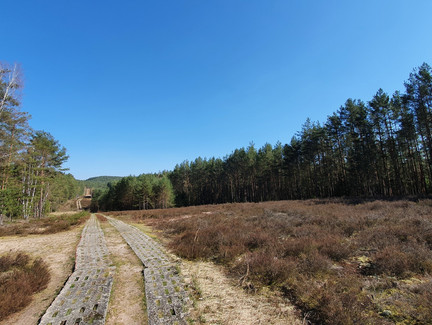 Heide am Grünen Band