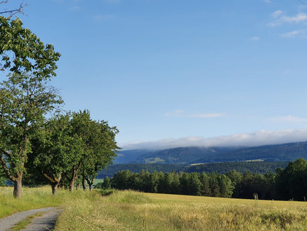 Kirschbaumchaussee nach Korberoth mit Schiefergebirge