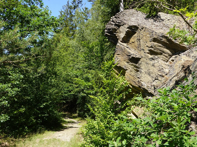 Weg kurz vor der Klostermühle