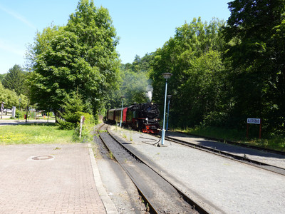 Einfahrt in den Bahnhof Alexisbad