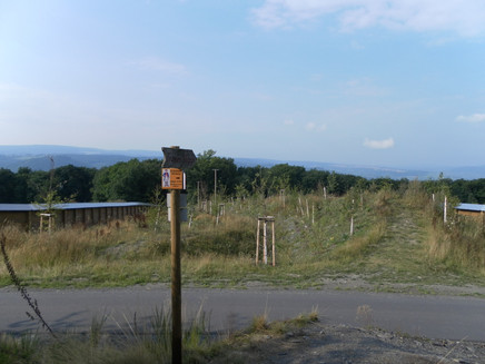 Wildbrücke über die B50neu am Graacher Schanzen