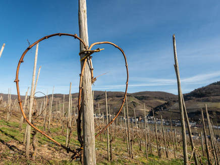 Heart in the vineyards near Zell