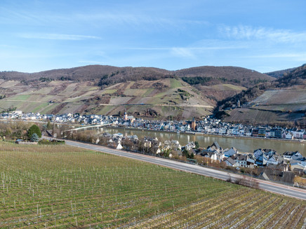Moselsteig view of Zell