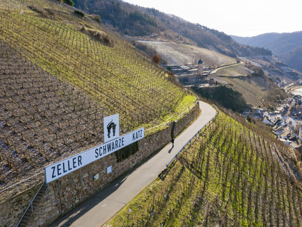 View of the vineyards near Zell