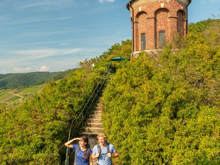 Path to Collis Tower