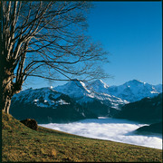 Auf der Sonnenterrasse