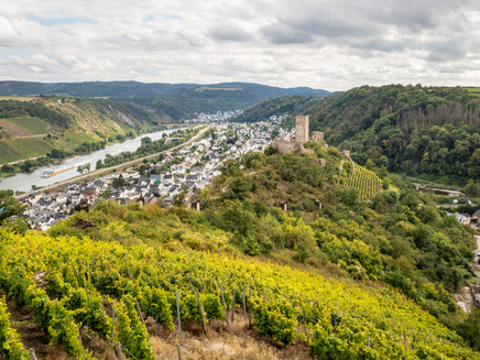 Schlossberg Kobern-Gondorf an der Mosel