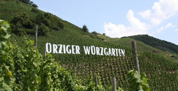 Ürziger Würzgarten hoch über der Mosel