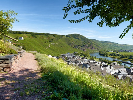 Wanderziel: Ürziger Gewürzgarten