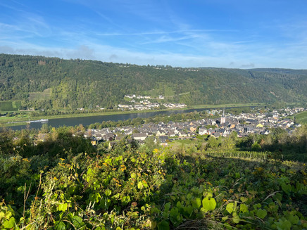 Aussicht Enkirch
