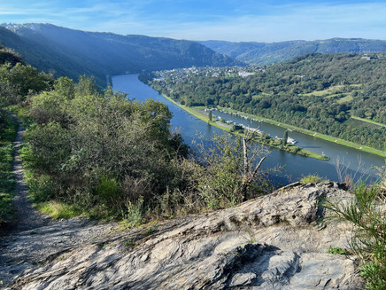 Aussicht Mosel