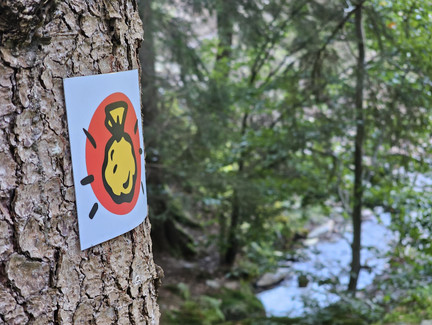 Goldpfad-Markierungszeichen am Steinbach