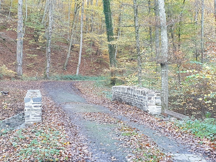 links abbiegen über den Springiersbach