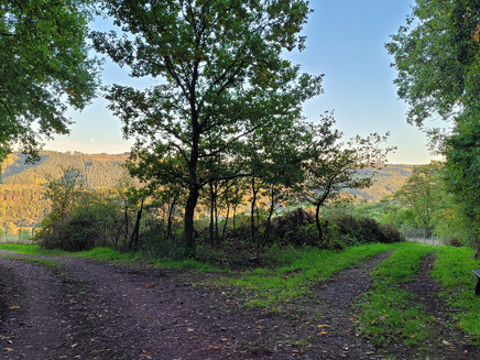 Am Ende der Schlangenschlucht, an der Wegegabelung rechts halten