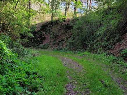 Schlangenschlucht