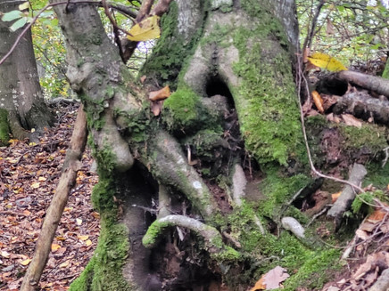 Wunderwerke der Natur entdecken
