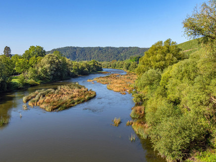 Naturschutzgebiet Wiltinger Saarbogen (1)