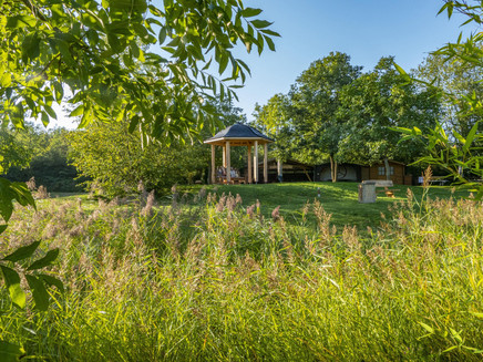 Lebensfluss Fisch (2)