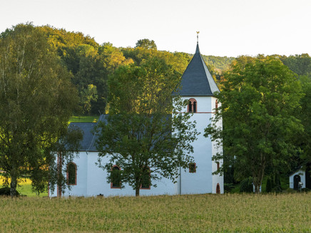 Rehlinger Church Fish