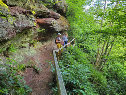 Kollesleuker Switzerland (2)