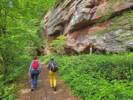 Kollesleuker Schweiz (1)