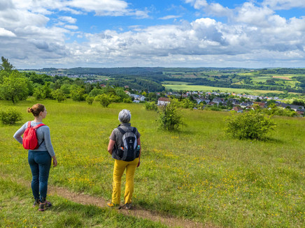 Eiderberg Nature Reserve (1)