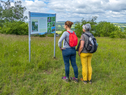 Eiderberg nature reserve (2)